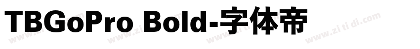 TBGoPro Bold字体转换